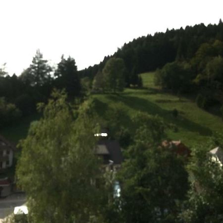 Fewo Mit Pool Haus Enere Au Todtmoos Exterior foto